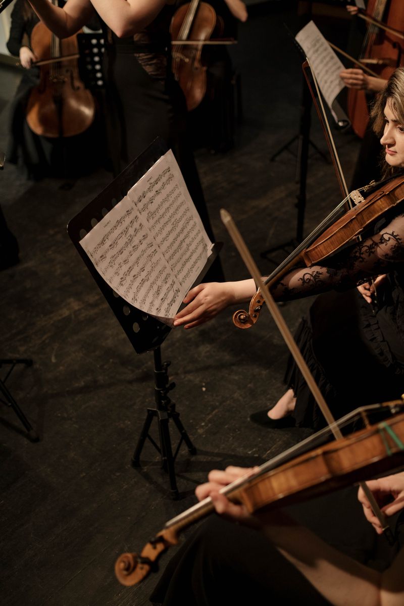 Techno-Media, Sinhala & Performance Arts